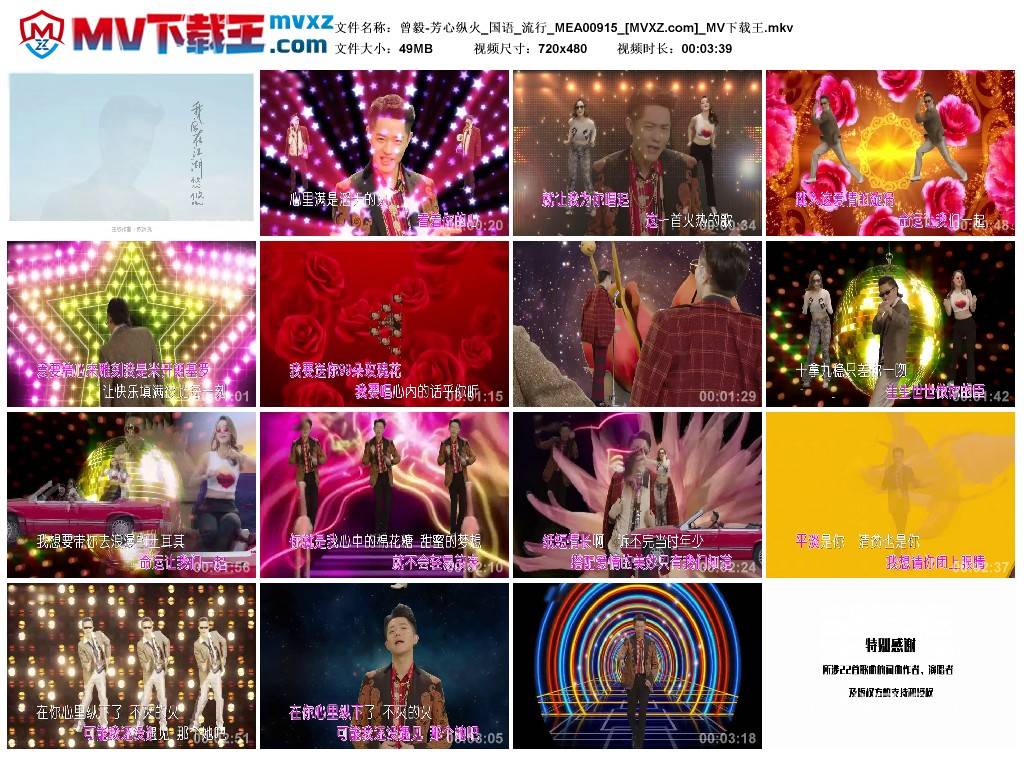 曾毅-芳心纵火_国语_流行_MEA00915